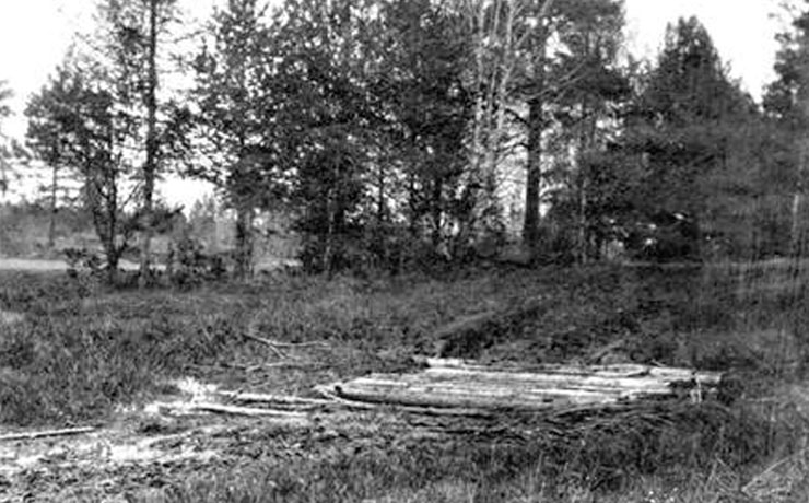 Глава 21. Екатеринбургские останки, найденные в июле 2007 г. и версия Покровского-Юровского. Выводы из проведенных в 2021-2022 годах криминалистических экспериментов и исследований