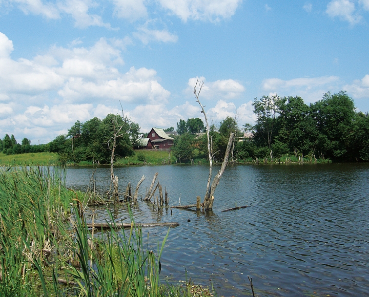 В старину на Руси этот день именовался: Кирик и Улита, Владимир – Крас Не рыбачь на Кирика и Улиту – маньяки и мороки увидишь».